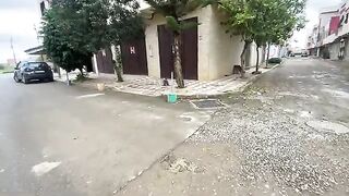 A very friendly Siamese cat who plays lovingly with me and asks for delicious food.