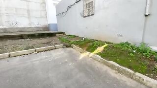 The mother cat and her teenage kitten are very cute and lovingly ask for food.