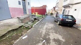 All the stray cats in this neighborhood gathered for love and food.