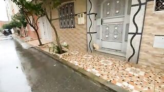 Abu Shaib the cat is more excited to taste the delicious cat food.