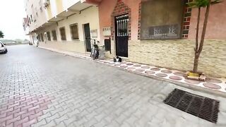 All the stray cats in this neighborhood gather together in search of warmth.