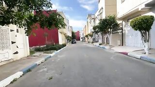 The stray and very cute cat asks for food calmly and lovingly.