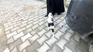 The cute little kittens came out to greet us for the first time.