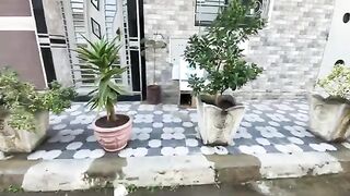 The mother cat is taking good care of her only kitten, and we have provided her with delicious food.