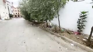We provided food and water to the poor mother cat and her very hungry kittens.