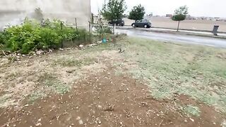 We played with the very friendly cat Calico and gave her delicious food.