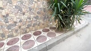 The stray cat, Mama, is asking for food for her hungry kittens.