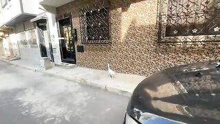 Two very cute cats who want delicious food, love, and attention.