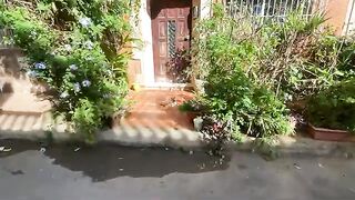 All the cats were shy until the food box was brought out; then they all came to get their share.