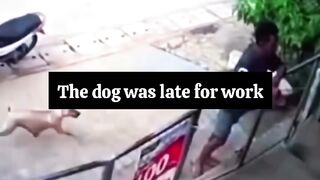 Security guard