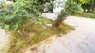 A jealous white cat and a very shy red cat only meet for food.