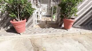 Ginger the cat meows beautifully to get attention and food.