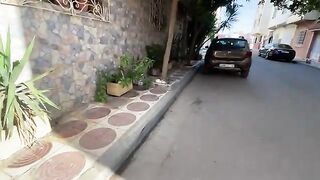 We met a mother cat and her cute little kitten who needed food and some attention.