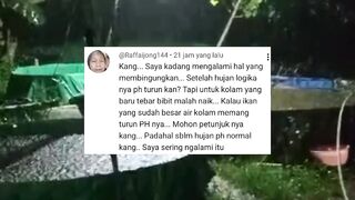Cara CEK pH air kolam❗Jika NAIK atau TURUN jangan PANIK