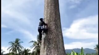 Nah ini org memanjat paling cepat