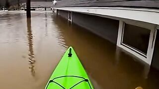 Kayaker Rescues Stranded Cats From Flooded Homes – Heroic 4K Footage ????????