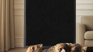 Video for caty funny