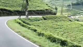 View Indonesia
