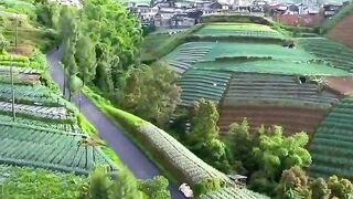 peaceful and beautiful Indonesian scenery