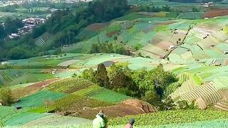 peaceful and beautiful Indonesian scenery