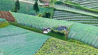 peaceful and beautiful Indonesian scenery