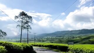 peaceful and beautiful Indonesian scenery
