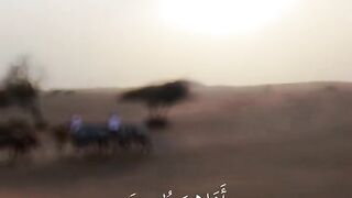 Tilawat e Quran Majeed