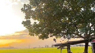 peaceful and beautiful Indonesian scenery