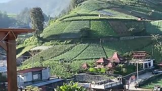 peaceful and beautiful Indonesian scenery