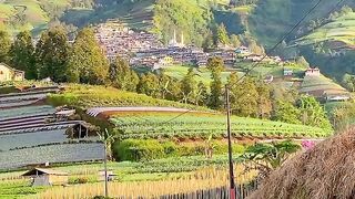 peaceful and beautiful Indonesian scenery