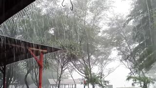 See more information