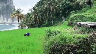 THE BEAUTIFUL VIEWS IN INDONESIA ARE VERY COOL