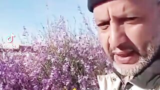 شهر رمضان الكريم