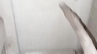 Happy parrot