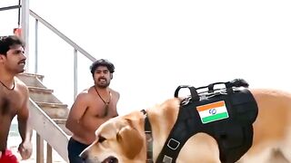 Best friend rescue peoples #dogs #rescue #animals