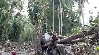 Funny Police