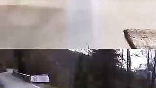 Cat in car mode