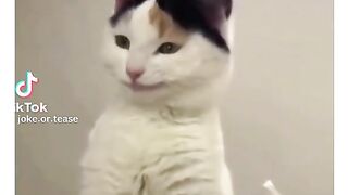 When you woman is changing clothes infront of his husband