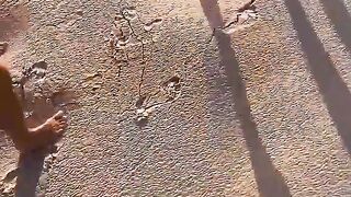 Places On Earth That Don't Feel Rea