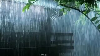 See more information