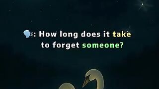 We may stop talking to them, but they still live quietly in our hearts...