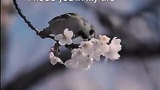 Allah ????❤ islamic whatsapp status | islamic quotes#islamicstatus #islamicquotes #islamic #shorts