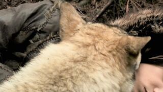 He tamed a wolf