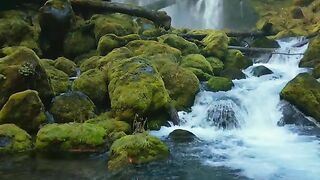 Beautiful Waterfall Full HD Video