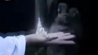 Guardians of the Ancient Tiara