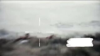Sniper in action real video