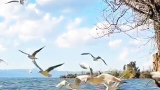 Beautiful nature