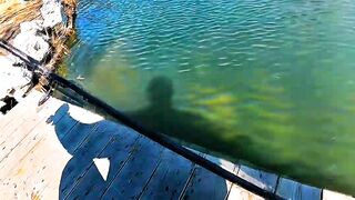 When Water Listens to Silence