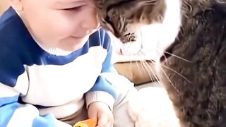Baby With Kitten #funny #funnyreels #kitten #baby