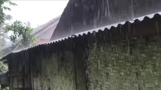 See more information